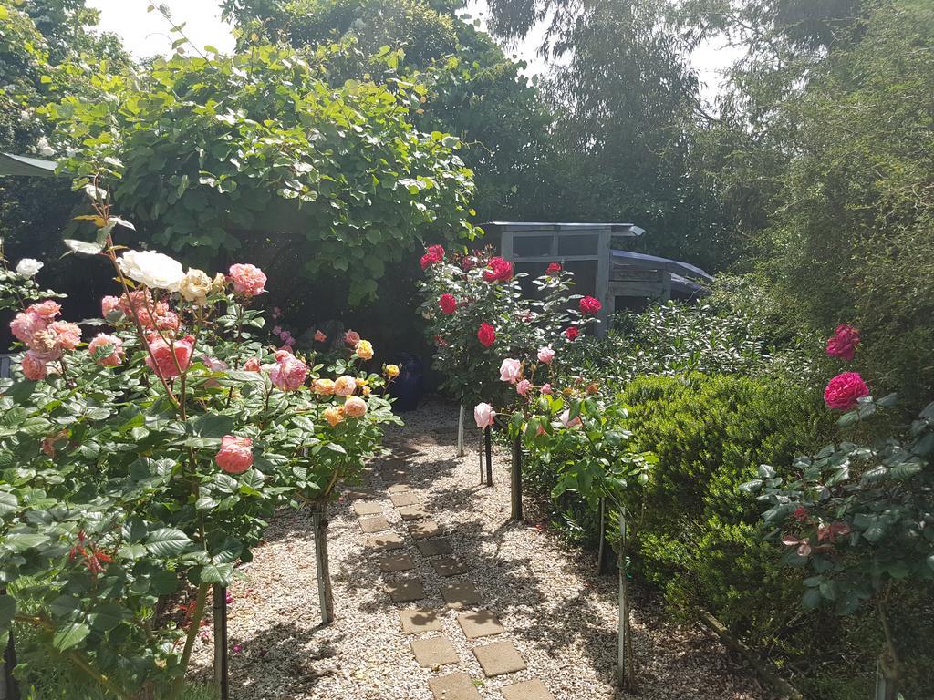 Olde Mill House B&B & Bike2Wine Cycle Hire Renwick Εξωτερικό φωτογραφία