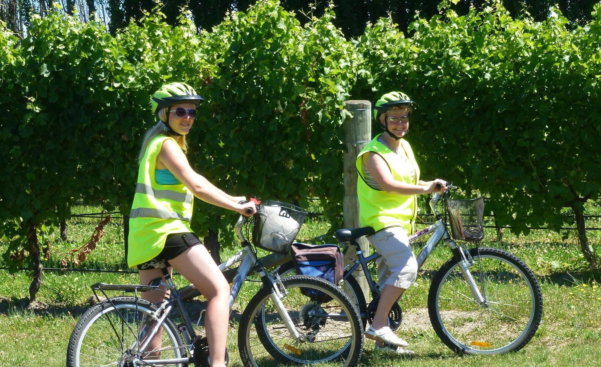 Olde Mill House B&B & Bike2Wine Cycle Hire Renwick Εξωτερικό φωτογραφία