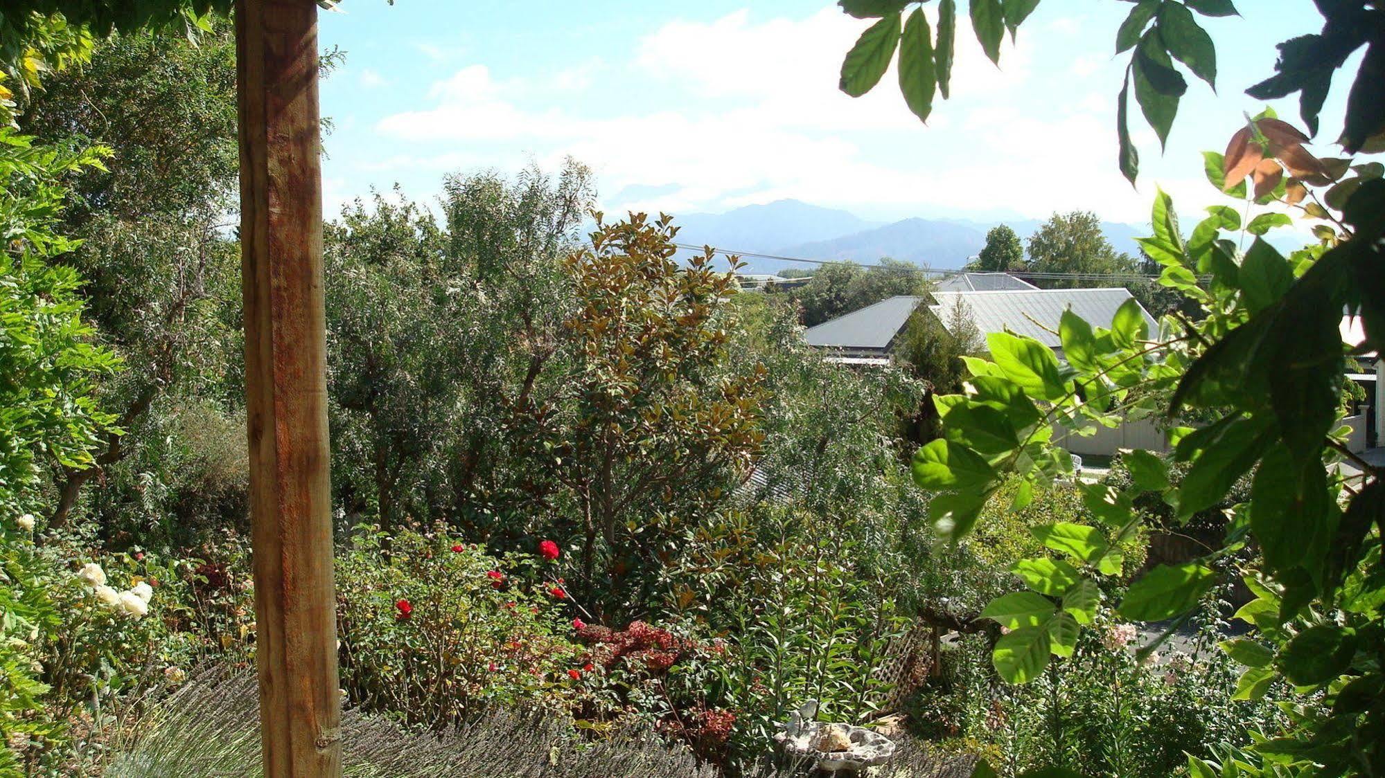 Olde Mill House B&B & Bike2Wine Cycle Hire Renwick Εξωτερικό φωτογραφία