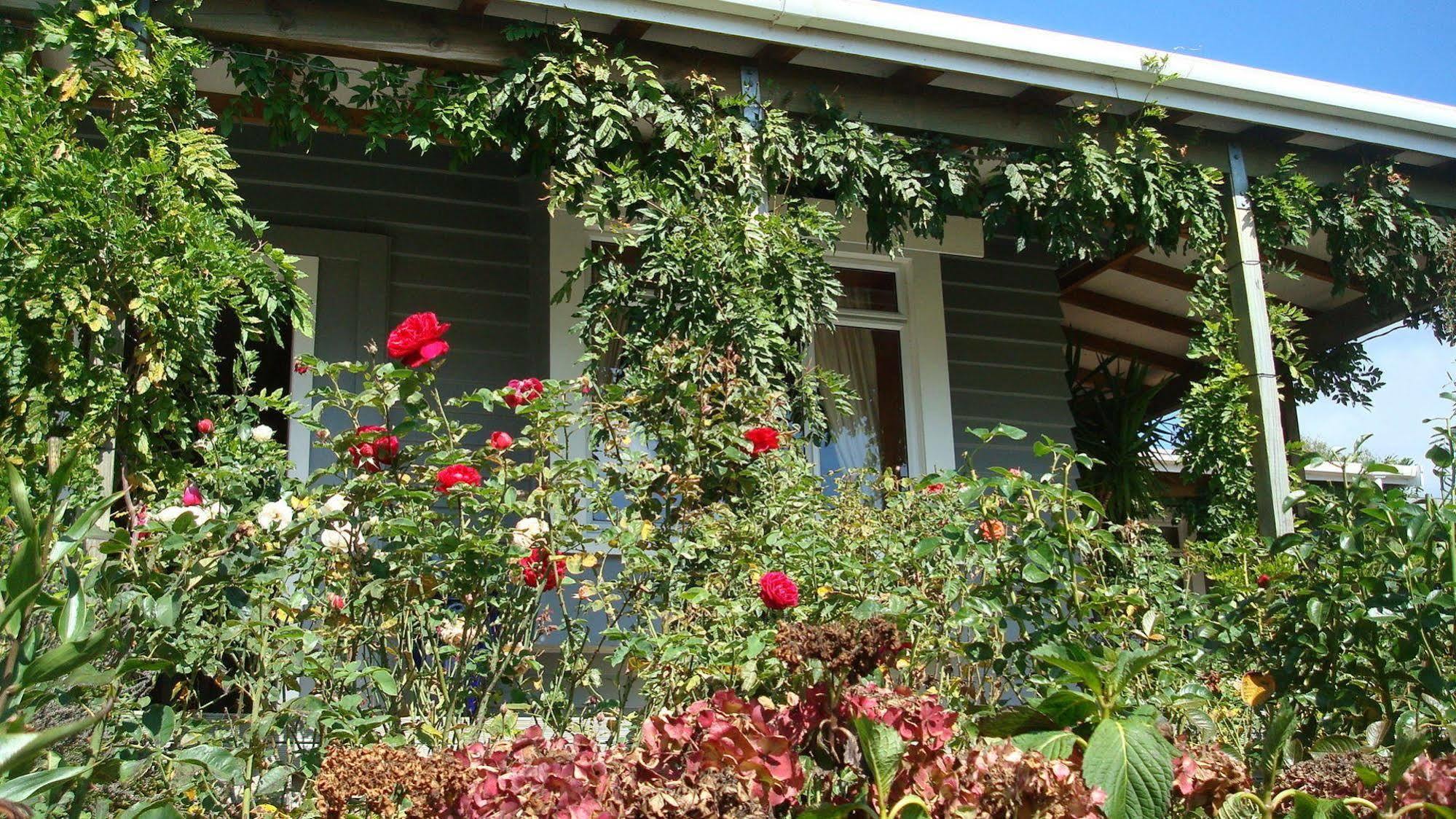 Olde Mill House B&B & Bike2Wine Cycle Hire Renwick Εξωτερικό φωτογραφία
