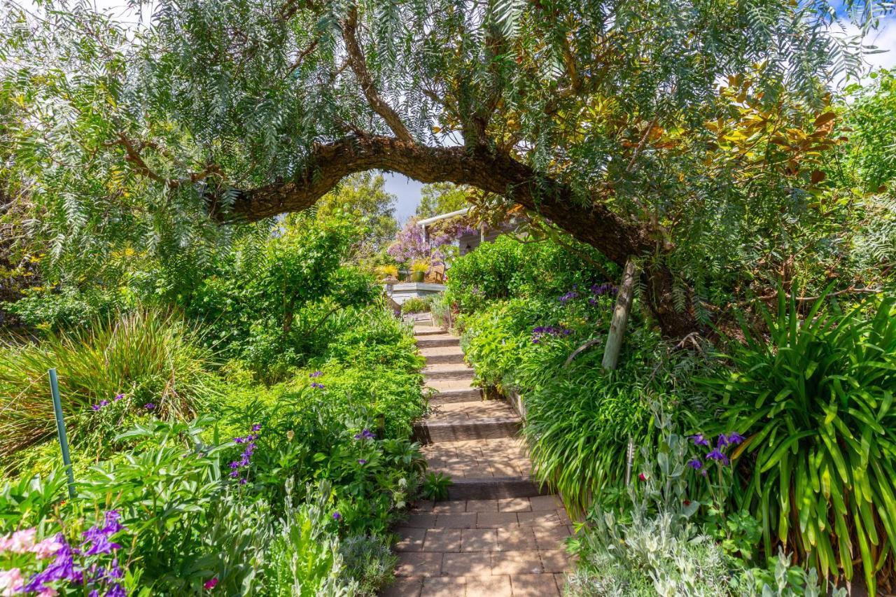 Olde Mill House B&B & Bike2Wine Cycle Hire Renwick Εξωτερικό φωτογραφία